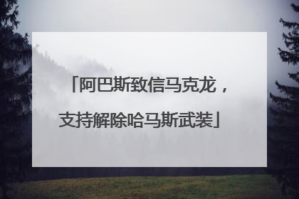 阿巴斯致信马克龙，支持解除哈马斯武装